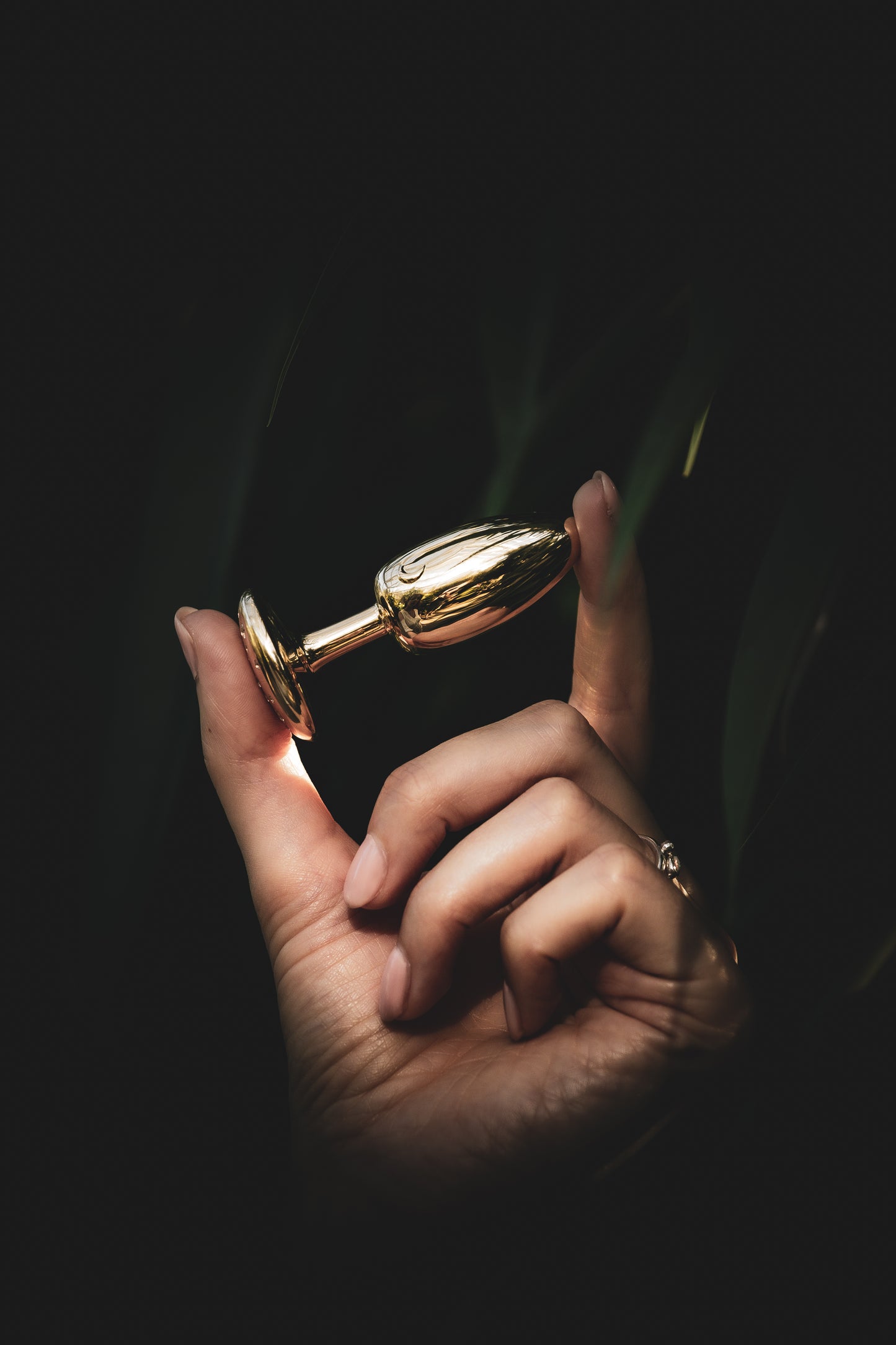 LUNA 1 GOLD
Exklusiver 18 Karat Gelbgold Plug – Ein Meisterwerk der Handwerkskunst
Entdecken Sie LUNA 1, unseren luxuriösen Plug, meisterhaft gefertigt aus feinstem 18 Karat GLUNA PassionLUNA 1 GOLD
