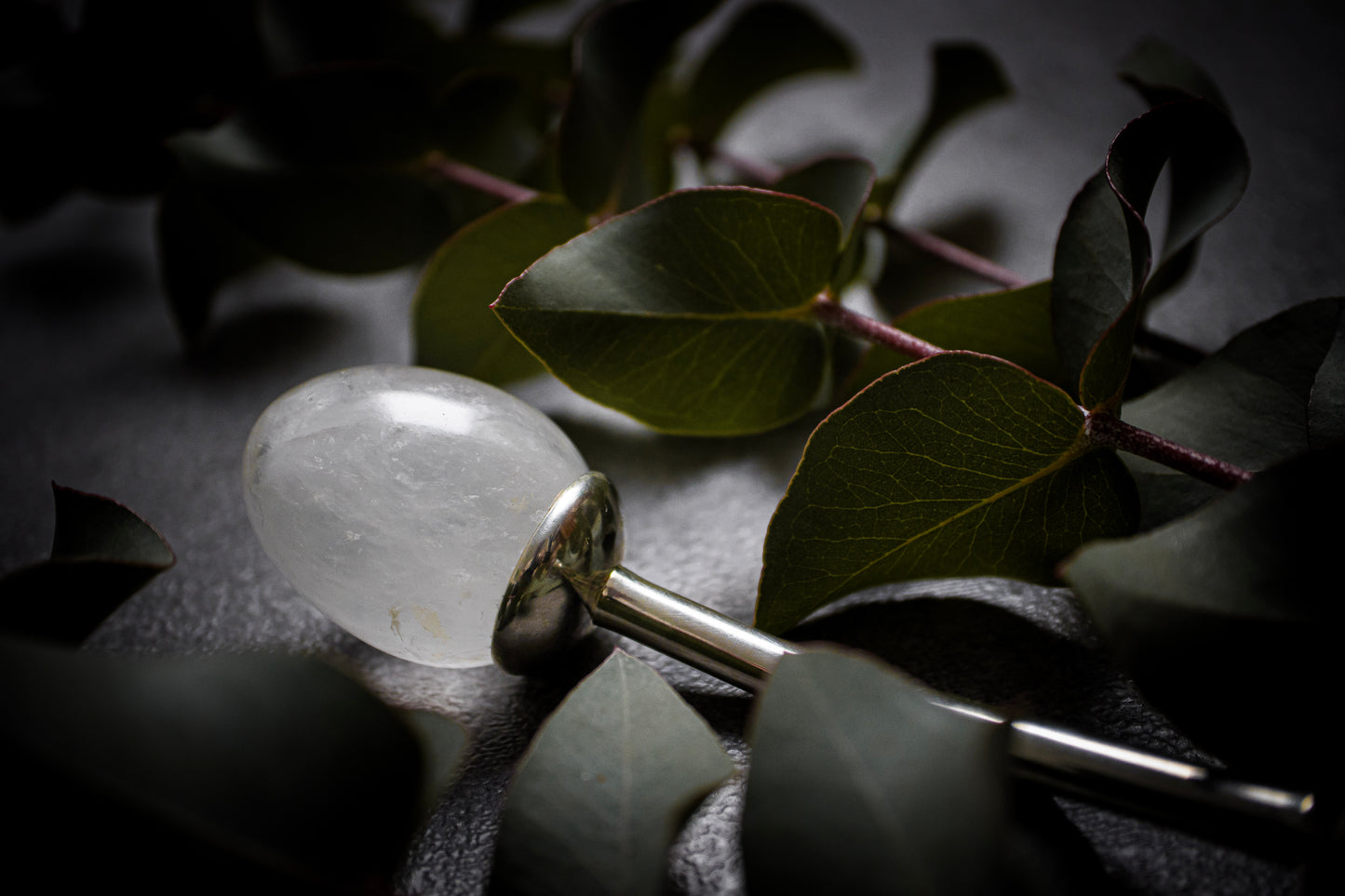 LUNASTONE
Lunastone: Ein Meisterwerk aus Edelsteinen und Silber
Entdecken Sie die Eleganz des Lunastone, eines innovativen Sextoys, das sowohl aus Rosenquarz als auch aus anLUNA PassionLUNASTONE
